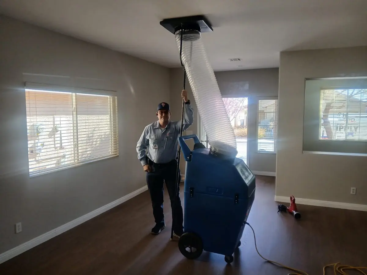 Professional Dryer Vent Cleaning work inside a Dumfries home